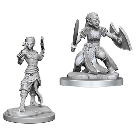 Toys4.0 Dungeons & Dragons Nolzurs Marvelous Shifter Fighter W20 Miniature TO3300090